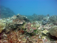 Asan Cut south seaward slope 14