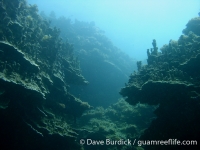 Big Blue Shoals 1