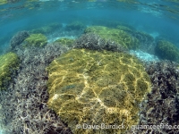 Ypao Beach, Tumon Bay Marine Preserve