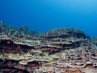 Tumon Bay Marine Preserve