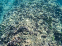 EOD Beach 05