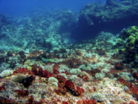 Mangilao Golf Course 02