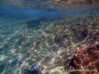 Marbo Cave reef 01