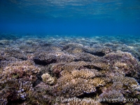 Gun Beach, Tumon Bay Marine Preserve