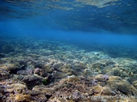 Gun Beach, Tumon Bay Marine Preserve