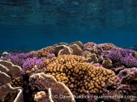 Gun Beach, Tumon Bay Marine Preserve