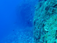 Santa Rosa Reef 01