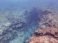Tarague Scuba Cut 04