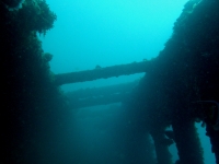 Tokai Maru 04