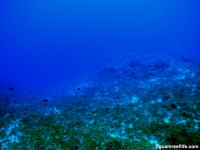 camel rock full06