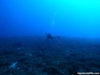 camel rock full07