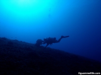 camel rock full14