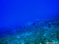 camel rock full15