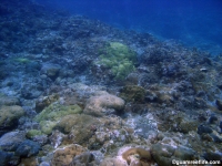 cave south of haputo full01