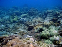 cave south of haputo full03