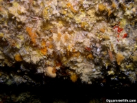 cave south of haputo full16