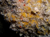 cave south of haputo full17