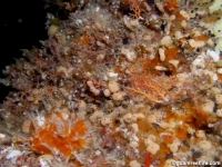cave south of haputo full18