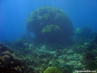 double reef full01