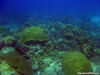 double reef full03