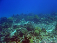 double reef full04