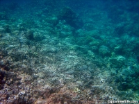 double reef full10
