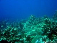 double reef full12