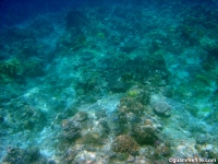 double reef full14