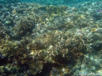 double reef full18