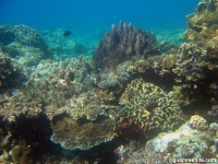 double reef full23