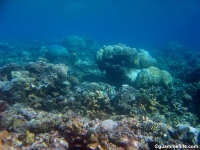 double reef full27