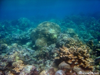 double reef full31
