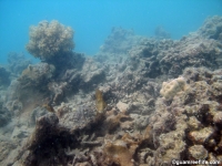 polaris point full01