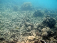 polaris point full02