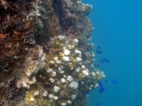 polaris point full03