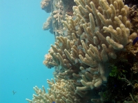 polaris point full07