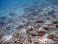 polaris point full08