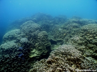 western shoals full03