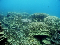 western shoals full04