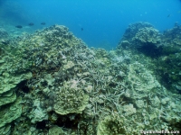 western shoals full05