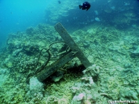 western shoals full11