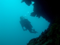 western shoals full19