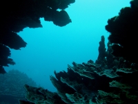 western shoals full31